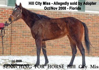 SEARCHING FOR HORSE Hill City Miss, Near Umatilla, FL, 00000